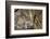 Buddha Caves, Datong, Shanxi Province, China-Paul Souders-Framed Photographic Print