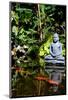 Buddha Garden-Jan Michael Ringlever-Mounted Art Print