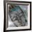 Buddha Gaze-Stella Chang-Framed Art Print