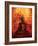 Buddha Gold-Daniel Stanford-Framed Art Print