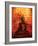 Buddha Gold-Daniel Stanford-Framed Art Print