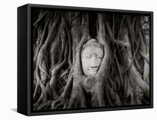 Buddha Head in the Roots of a Tree, Wat Mahathat, Ayutthaya Historical Park, Ayutthaya, Thailand-null-Framed Premier Image Canvas