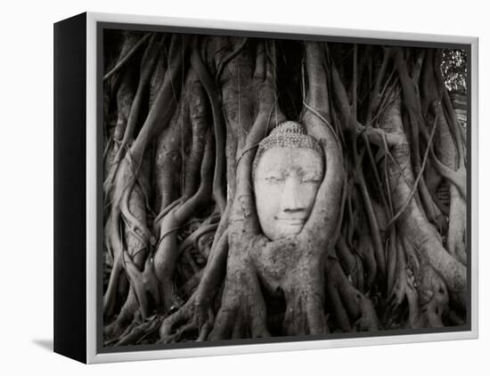 Buddha Head in the Roots of a Tree, Wat Mahathat, Ayutthaya Historical Park, Ayutthaya, Thailand-null-Framed Premier Image Canvas