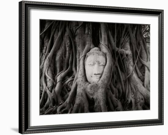 Buddha Head in the Roots of a Tree, Wat Mahathat, Ayutthaya Historical Park, Ayutthaya, Thailand--Framed Photographic Print