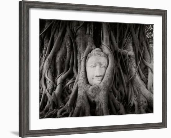 Buddha Head in the Roots of a Tree, Wat Mahathat, Ayutthaya Historical Park, Ayutthaya, Thailand-null-Framed Photographic Print