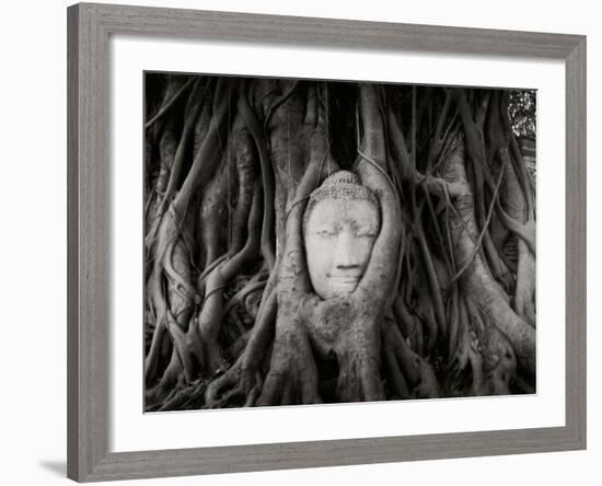 Buddha Head in the Roots of a Tree, Wat Mahathat, Ayutthaya Historical Park, Ayutthaya, Thailand-null-Framed Photographic Print