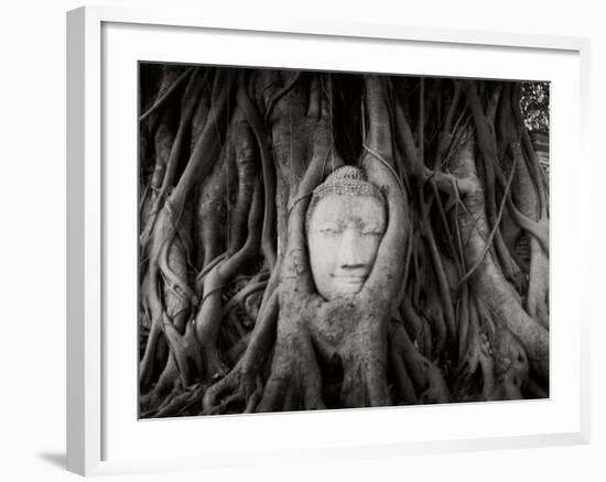 Buddha Head in the Roots of a Tree, Wat Mahathat, Ayutthaya Historical Park, Ayutthaya, Thailand--Framed Photographic Print