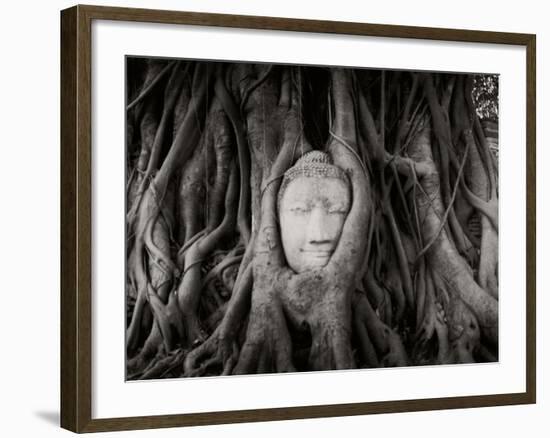 Buddha Head in the Roots of a Tree, Wat Mahathat, Ayutthaya Historical Park, Ayutthaya, Thailand--Framed Photographic Print