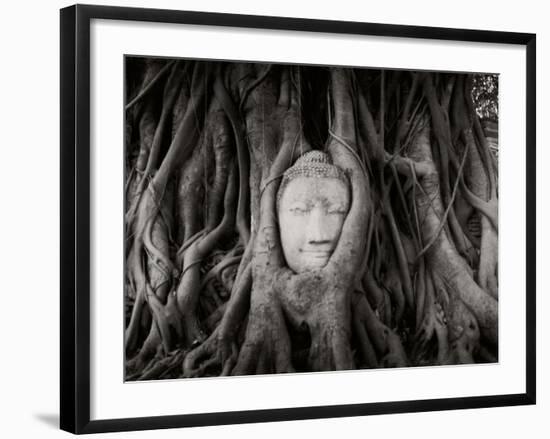 Buddha Head in the Roots of a Tree, Wat Mahathat, Ayutthaya Historical Park, Ayutthaya, Thailand-null-Framed Photographic Print