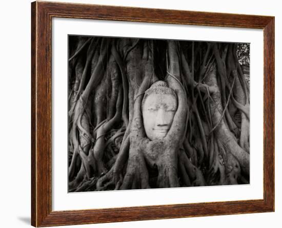 Buddha Head in the Roots of a Tree, Wat Mahathat, Ayutthaya Historical Park, Ayutthaya, Thailand-null-Framed Photographic Print