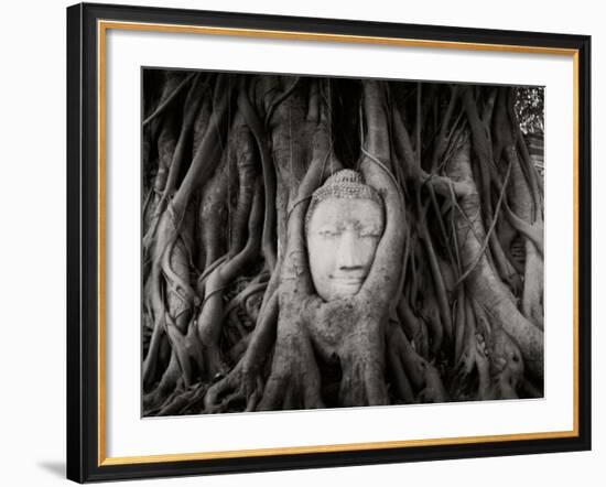 Buddha Head in the Roots of a Tree, Wat Mahathat, Ayutthaya Historical Park, Ayutthaya, Thailand-null-Framed Photographic Print