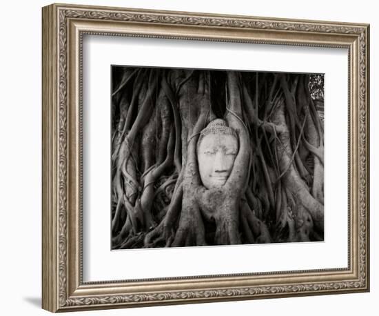 Buddha Head in the Roots of a Tree, Wat Mahathat, Ayutthaya Historical Park, Ayutthaya, Thailand-null-Framed Photographic Print