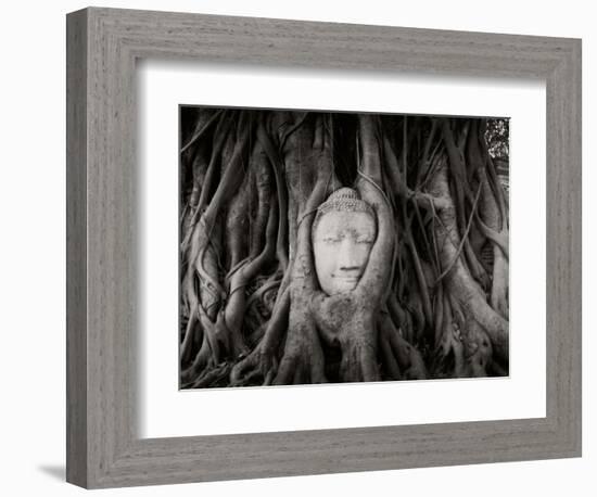 Buddha Head in the Roots of a Tree, Wat Mahathat, Ayutthaya Historical Park, Ayutthaya, Thailand-null-Framed Photographic Print