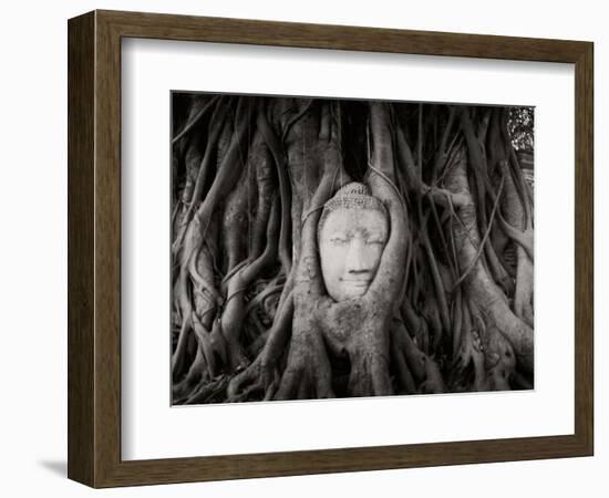 Buddha Head in the Roots of a Tree, Wat Mahathat, Ayutthaya Historical Park, Ayutthaya, Thailand-null-Framed Photographic Print