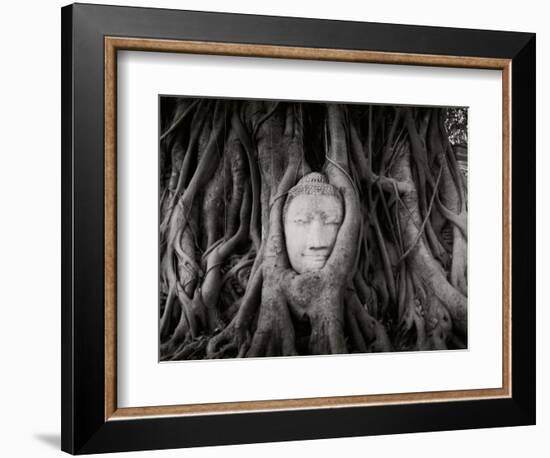 Buddha Head in the Roots of a Tree, Wat Mahathat, Ayutthaya Historical Park, Ayutthaya, Thailand-null-Framed Photographic Print