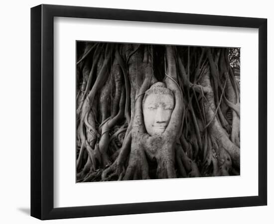 Buddha Head in the Roots of a Tree, Wat Mahathat, Ayutthaya Historical Park, Ayutthaya, Thailand-null-Framed Photographic Print