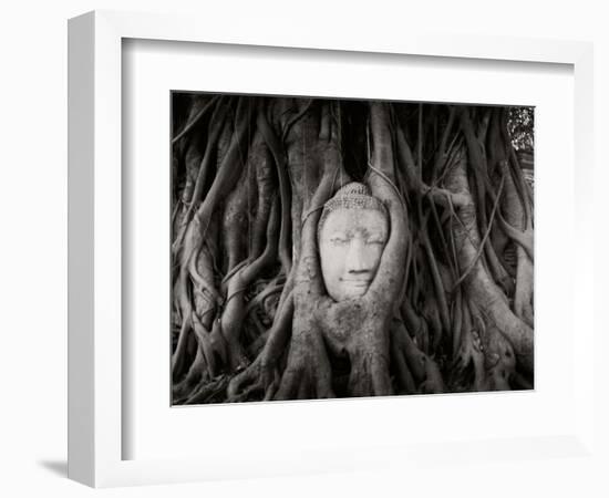 Buddha Head in the Roots of a Tree, Wat Mahathat, Ayutthaya Historical Park, Ayutthaya, Thailand-null-Framed Photographic Print