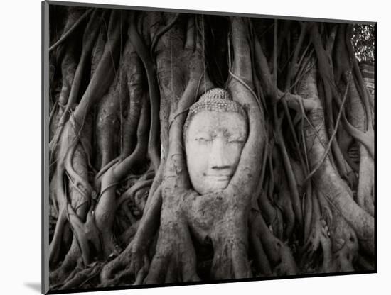 Buddha Head in the Roots of a Tree, Wat Mahathat, Ayutthaya Historical Park, Ayutthaya, Thailand-null-Mounted Photographic Print