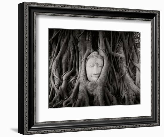 Buddha Head in the Roots of a Tree, Wat Mahathat, Ayutthaya Historical Park, Ayutthaya, Thailand-null-Framed Photographic Print