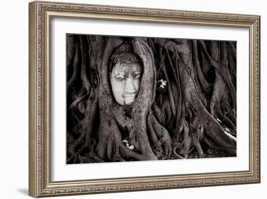 Buddha Head In Tree At Ayutthaya, Thailand-Lindsay Daniels-Framed Photographic Print