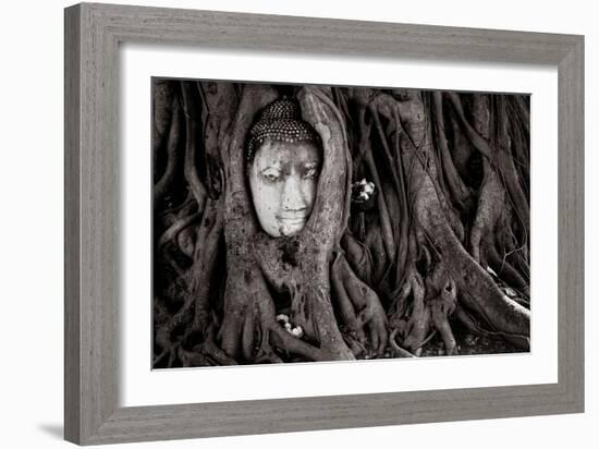 Buddha Head In Tree At Ayutthaya, Thailand-Lindsay Daniels-Framed Photographic Print