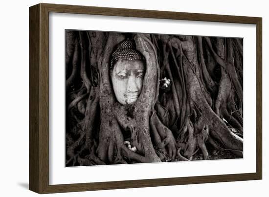 Buddha Head In Tree At Ayutthaya, Thailand-Lindsay Daniels-Framed Photographic Print