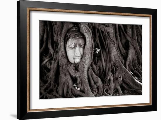 Buddha Head In Tree At Ayutthaya, Thailand-Lindsay Daniels-Framed Photographic Print