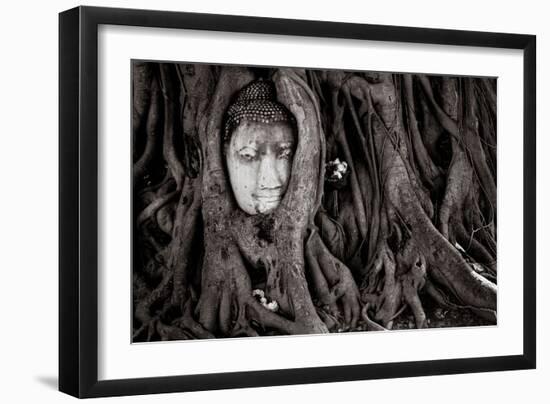 Buddha Head In Tree At Ayutthaya, Thailand-Lindsay Daniels-Framed Photographic Print