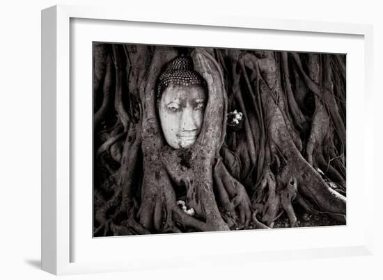 Buddha Head In Tree At Ayutthaya, Thailand-Lindsay Daniels-Framed Photographic Print