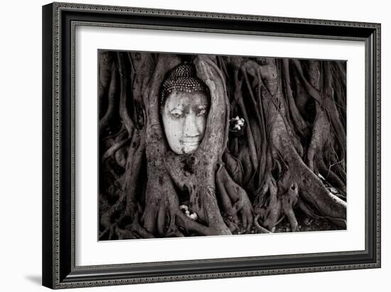 Buddha Head In Tree At Ayutthaya, Thailand-Lindsay Daniels-Framed Photographic Print