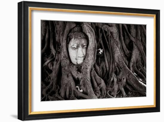 Buddha Head In Tree At Ayutthaya, Thailand-Lindsay Daniels-Framed Photographic Print