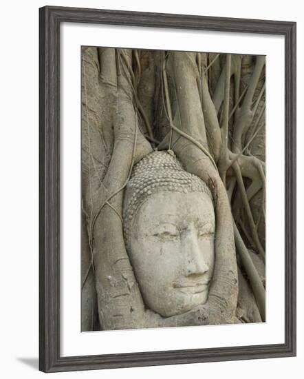 Buddha Head, Wat Mahathat, Ayutthaya, UNESCO World Heritage Site, Thailand, Southeast Asia, Asia-Richard Maschmeyer-Framed Photographic Print