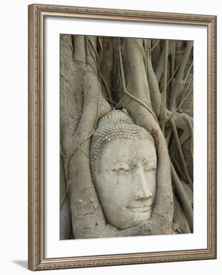 Buddha Head, Wat Mahathat, Ayutthaya, UNESCO World Heritage Site, Thailand, Southeast Asia, Asia-Richard Maschmeyer-Framed Photographic Print