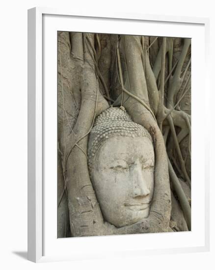 Buddha Head, Wat Mahathat, Ayutthaya, UNESCO World Heritage Site, Thailand, Southeast Asia, Asia-Richard Maschmeyer-Framed Photographic Print