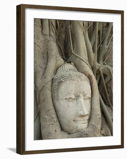 Buddha Head, Wat Mahathat, Ayutthaya, UNESCO World Heritage Site, Thailand, Southeast Asia, Asia-Richard Maschmeyer-Framed Photographic Print