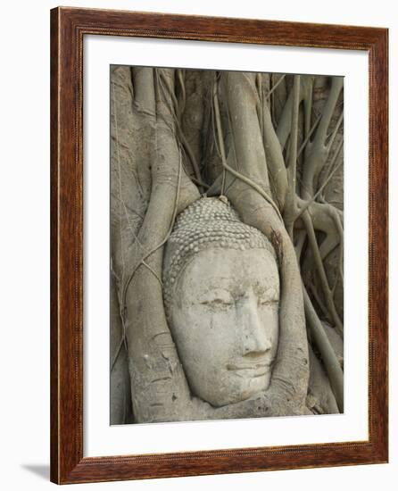 Buddha Head, Wat Mahathat, Ayutthaya, UNESCO World Heritage Site, Thailand, Southeast Asia, Asia-Richard Maschmeyer-Framed Photographic Print