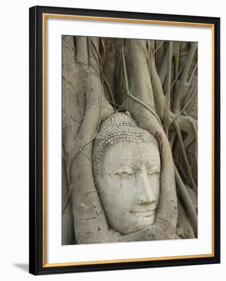 Buddha Head, Wat Mahathat, Ayutthaya, UNESCO World Heritage Site, Thailand, Southeast Asia, Asia-Richard Maschmeyer-Framed Photographic Print