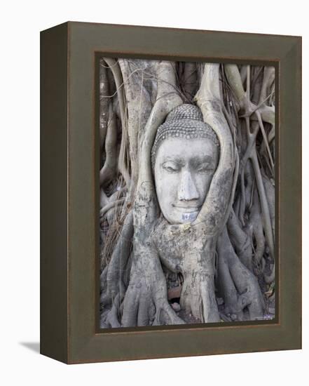 Buddha Head, Wat Phra Mahathat, Ayutthaya, Thailand-Michele Falzone-Framed Premier Image Canvas