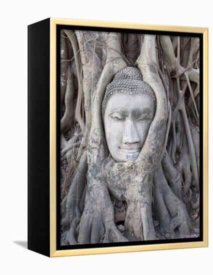 Buddha Head, Wat Phra Mahathat, Ayutthaya, Thailand-Michele Falzone-Framed Premier Image Canvas