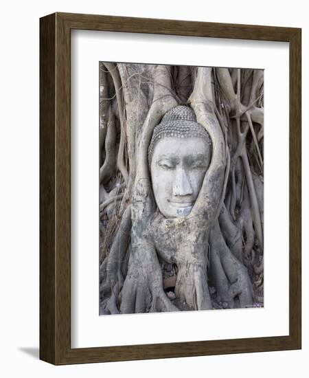 Buddha Head, Wat Phra Mahathat, Ayutthaya, Thailand-Michele Falzone-Framed Photographic Print