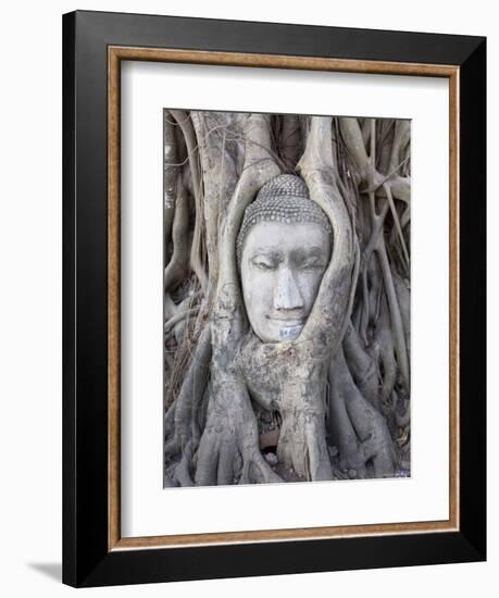 Buddha Head, Wat Phra Mahathat, Ayutthaya, Thailand-Michele Falzone-Framed Photographic Print