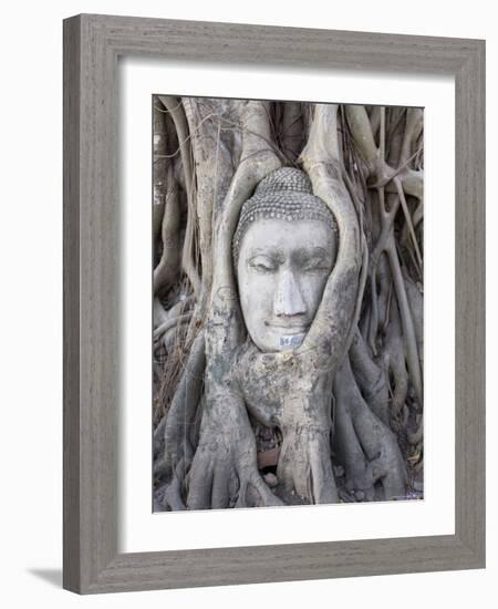 Buddha Head, Wat Phra Mahathat, Ayutthaya, Thailand-Michele Falzone-Framed Photographic Print