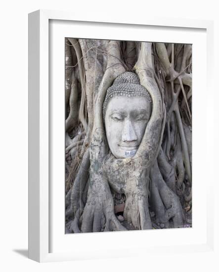 Buddha Head, Wat Phra Mahathat, Ayutthaya, Thailand-Michele Falzone-Framed Photographic Print