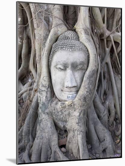 Buddha Head, Wat Phra Mahathat, Ayutthaya, Thailand-Michele Falzone-Mounted Photographic Print