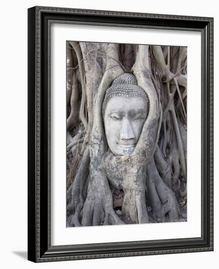 Buddha Head, Wat Phra Mahathat, Ayutthaya, Thailand-Michele Falzone-Framed Photographic Print