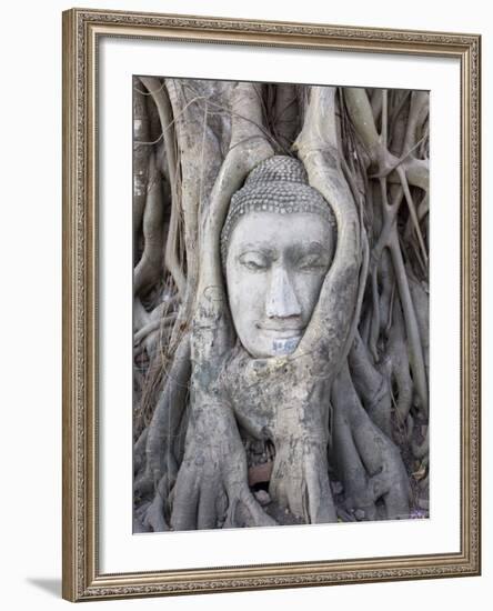 Buddha Head, Wat Phra Mahathat, Ayutthaya, Thailand-Michele Falzone-Framed Photographic Print