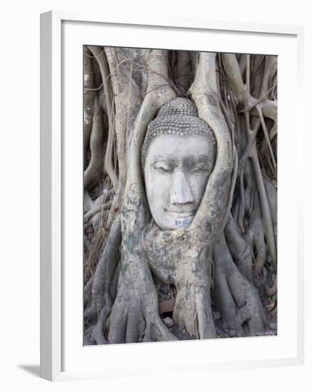 Buddha Head, Wat Phra Mahathat, Ayutthaya, Thailand-Michele Falzone-Framed Photographic Print