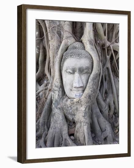 Buddha Head, Wat Phra Mahathat, Ayutthaya, Thailand-Michele Falzone-Framed Photographic Print