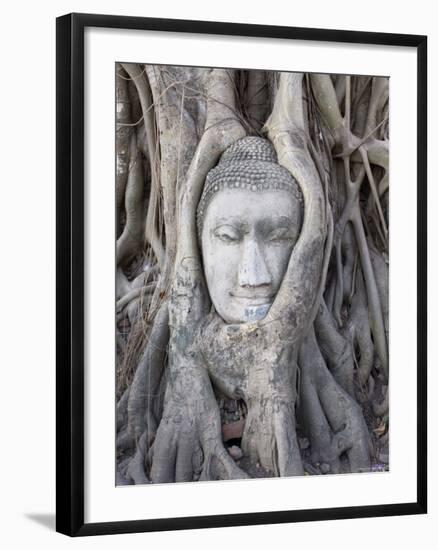 Buddha Head, Wat Phra Mahathat, Ayutthaya, Thailand-Michele Falzone-Framed Photographic Print