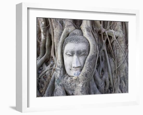 Buddha Head, Wat Phra Mahathat, Ayutthaya, Thailand-Michele Falzone-Framed Photographic Print